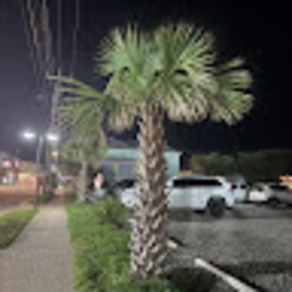 Meet your Posher, Arianna